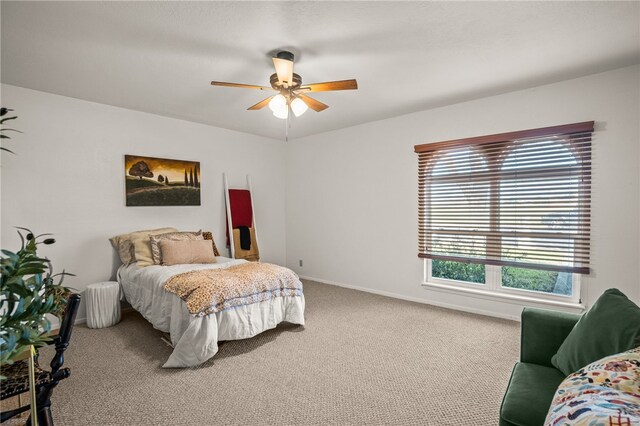 1910 Shelley St, Kingsville, TX 78363 - photo 22