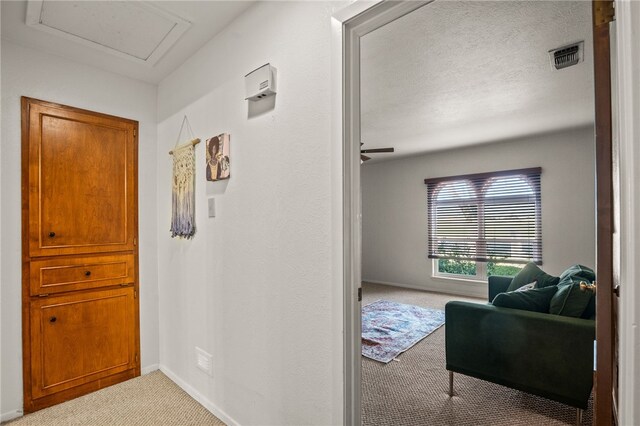 1910 Shelley St, Kingsville, TX 78363 - photo 28
