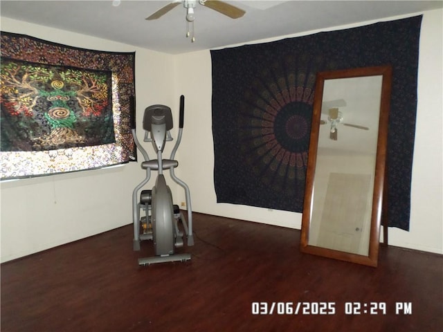 exercise area featuring wood finished floors and ceiling fan