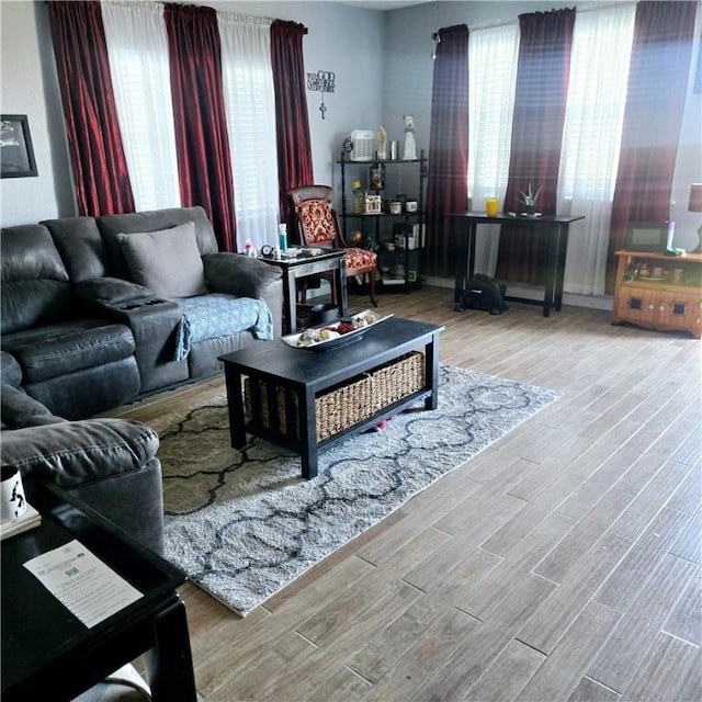 living area featuring wood finished floors