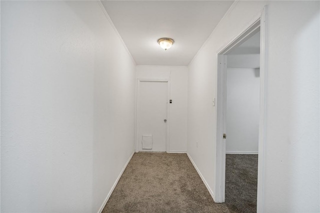 hall with carpet and ornamental molding