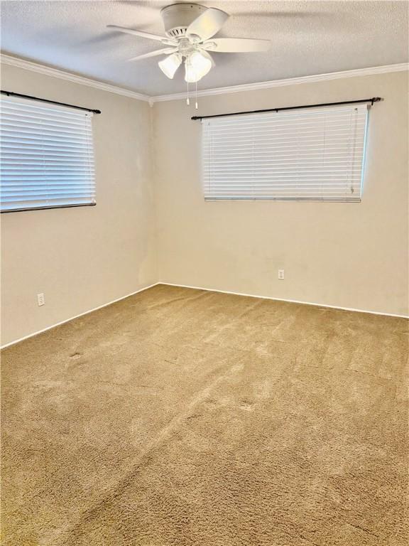 3962 Monta Dr, Robstown, TX 78380 - photo 18