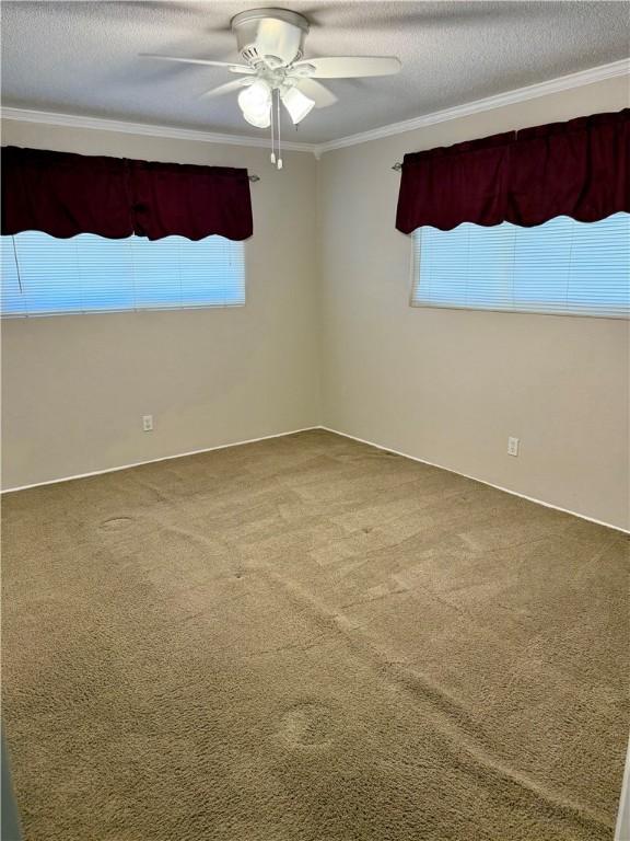 3962 Monta Dr, Robstown, TX 78380 - photo 16