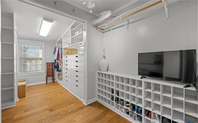 spacious closet with hardwood / wood-style floors