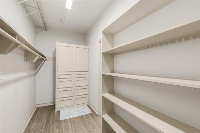 spacious closet featuring light wood-type flooring