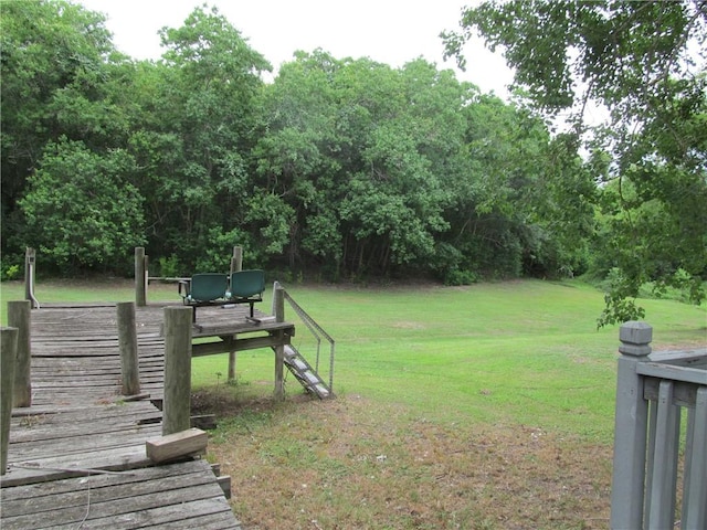 119 Horse Shoe Clf, Sandia, TX 78383 - view of grassy yard