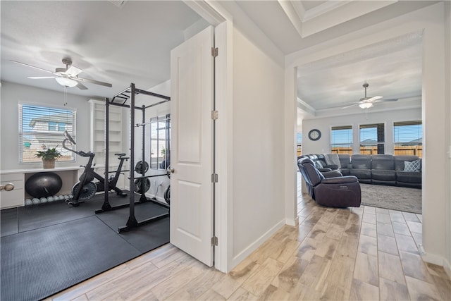 workout room featuring crown molding, wood-type flooring, and ceiling fan