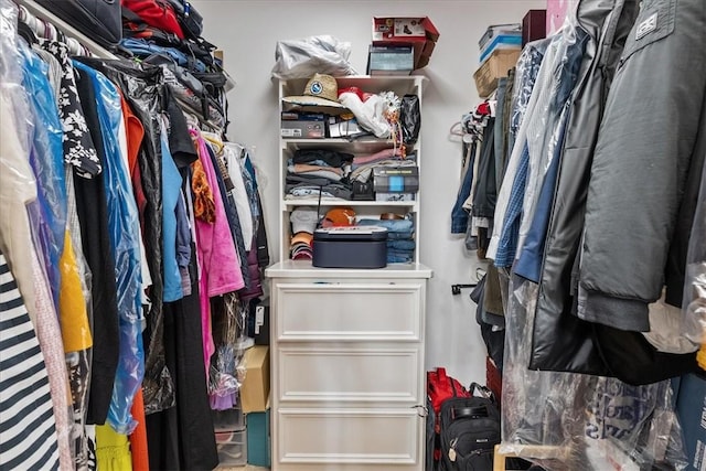 2618 Gentle Wind Ave, Corpus Christi, TX 78414 - view of spacious closet