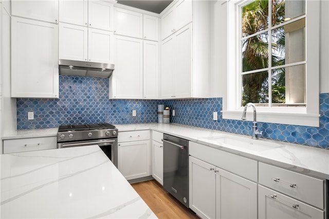 kitchen featuring stainless steel appliances, plenty of natural light, a sink, and under cabinet range hood