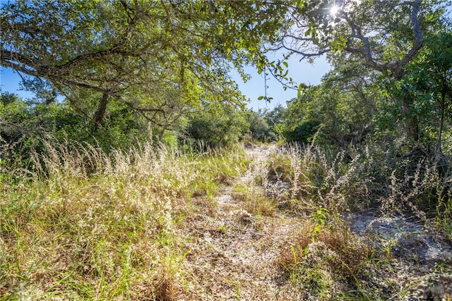 view of landscape