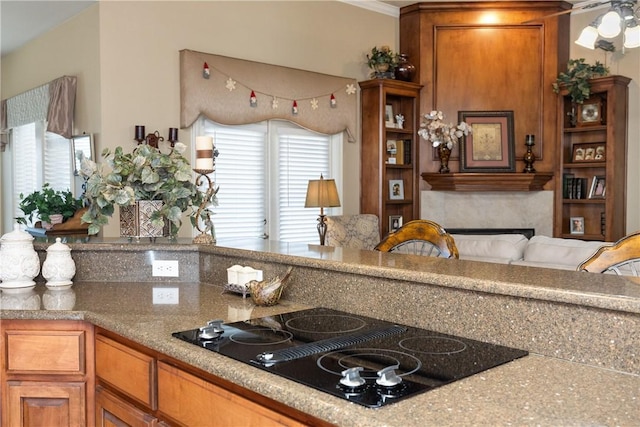 kitchen featuring black electric cooktop