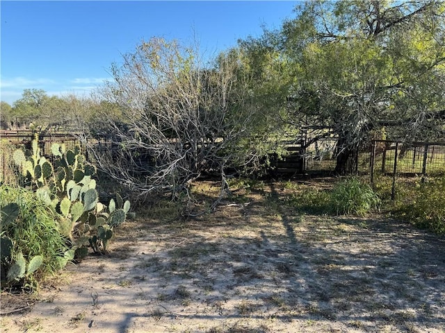 view of local wilderness