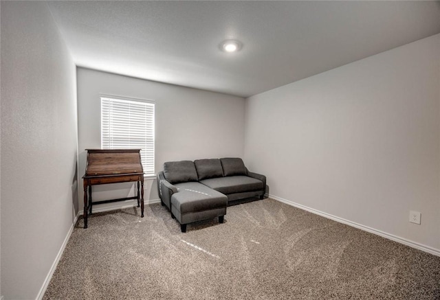 sitting room featuring carpet flooring