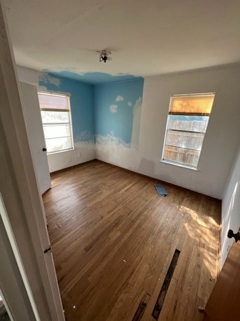 spare room featuring wood-type flooring