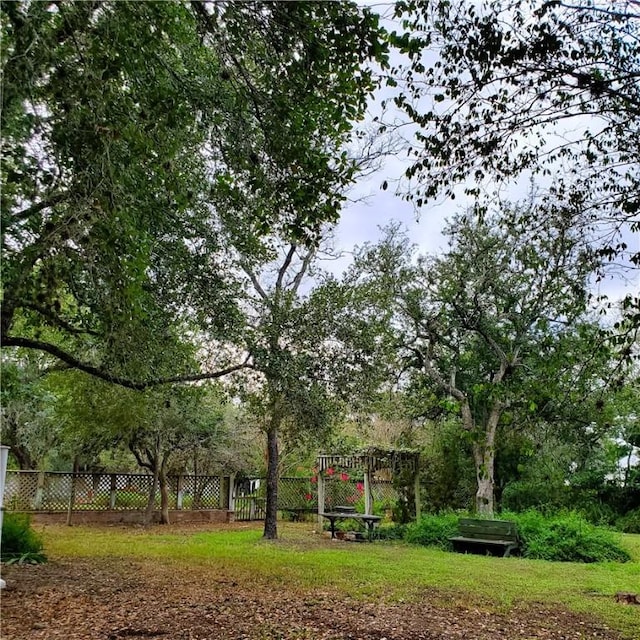 711 E Lott St, Beeville, TX 78102 - view of yard with fence