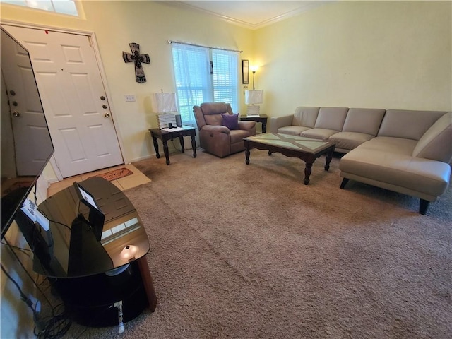 2602 Whirlwind St, Corpus Christi, TX 78414 - living room with ornamental molding and carpet