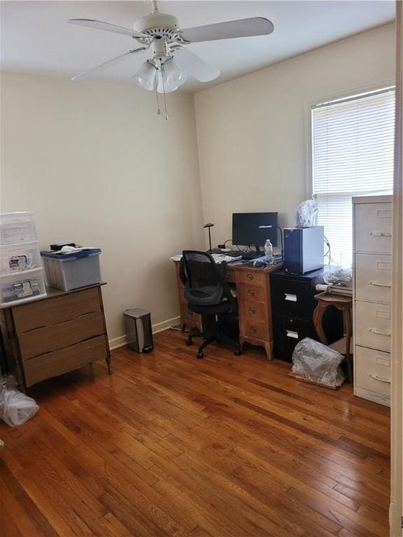 office featuring dark hardwood / wood-style floors and ceiling fan