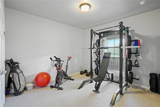 exercise area featuring carpet floors