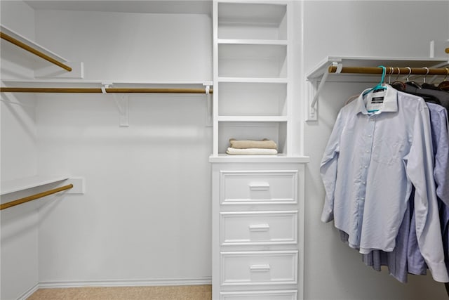 spacious closet featuring light colored carpet