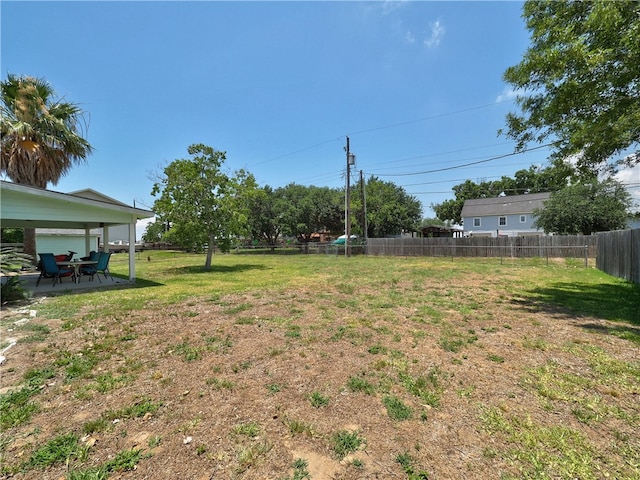 view of yard featuring a patio area