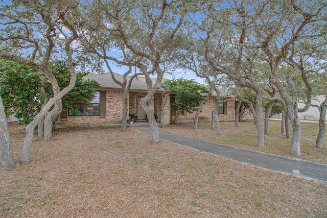 ranch-style home featuring a front yard and brick siding