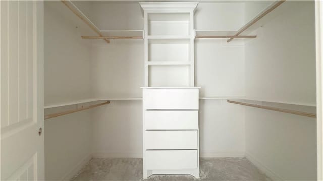 view of spacious closet