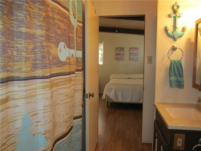 bathroom with vanity and wood-type flooring