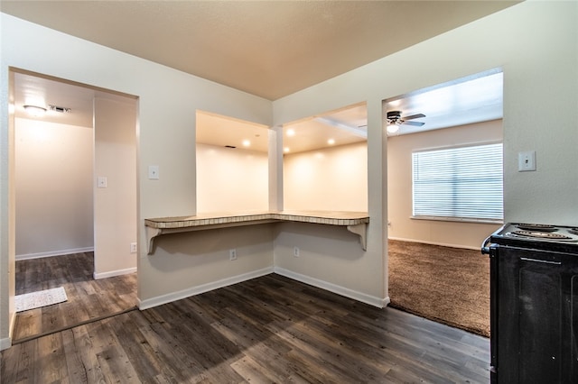 interior space featuring ceiling fan and dark hardwood / wood-style floors