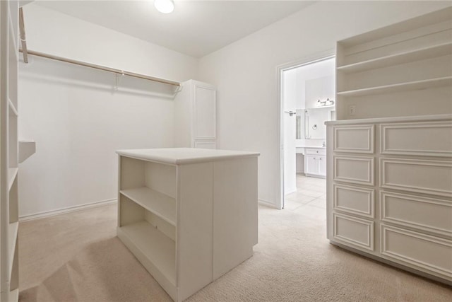13534 Bullion Ct, Corpus Christi, TX 78418 - walk in closet with light carpet