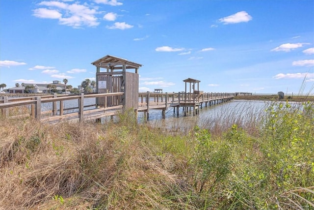 dock area with a water view