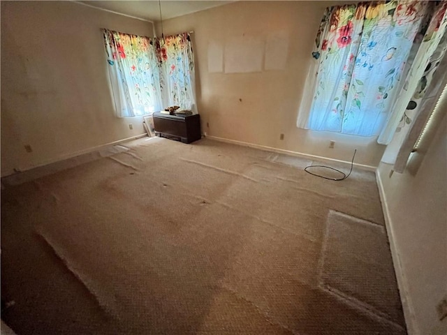 unfurnished dining area featuring carpet