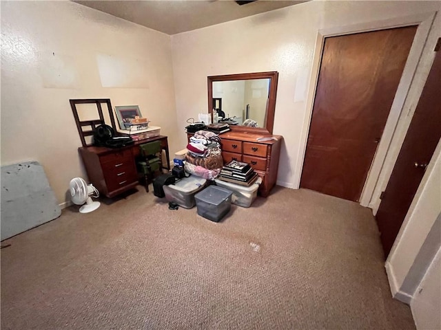 misc room with carpet flooring