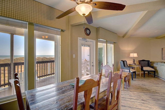 dining area with hardwood / wood-style flooring and ceiling fan