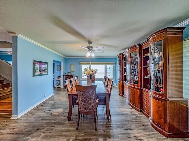 dining area featuring ceiling fan, ornamental molding, and dark hardwood / wood-style flooring