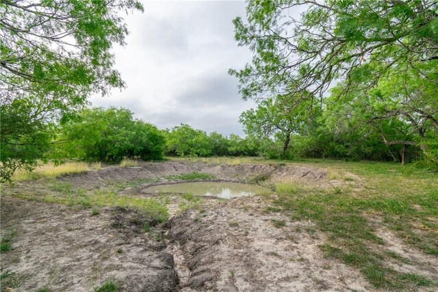 550 County Road 2111, Alice, TX 78332 - photo 35