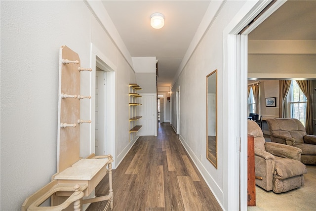 hallway with dark wood-type flooring