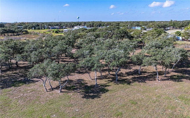 aerial view featuring a rural view