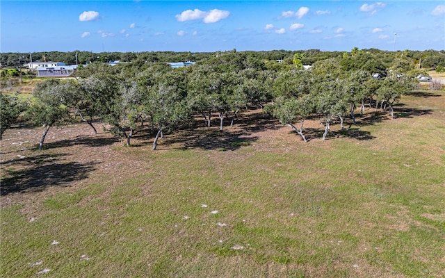 bird's eye view with a rural view