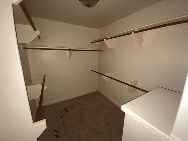 spacious closet featuring carpet floors