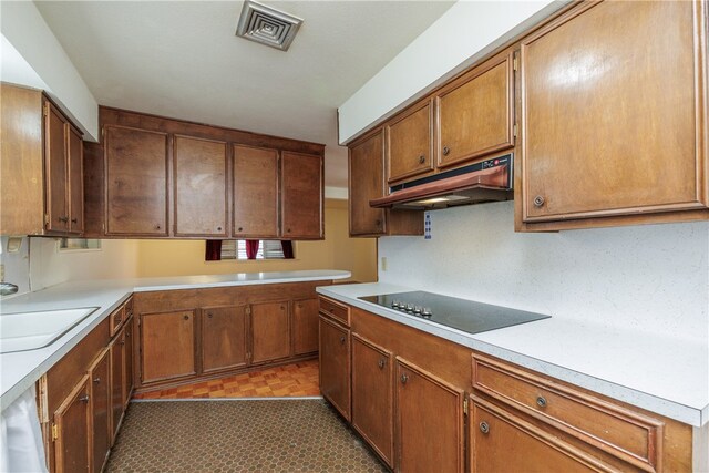 kitchen with custom range hood, black electric stovetop, and sink