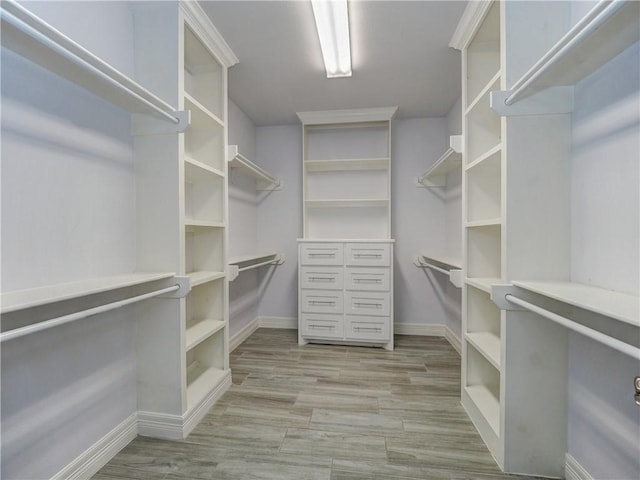 spacious closet featuring light wood-type flooring