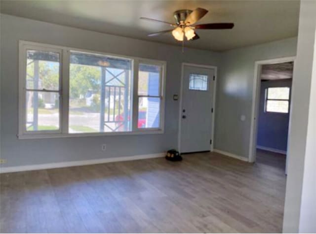 entryway with a wealth of natural light, ceiling fan, and light wood-type flooring