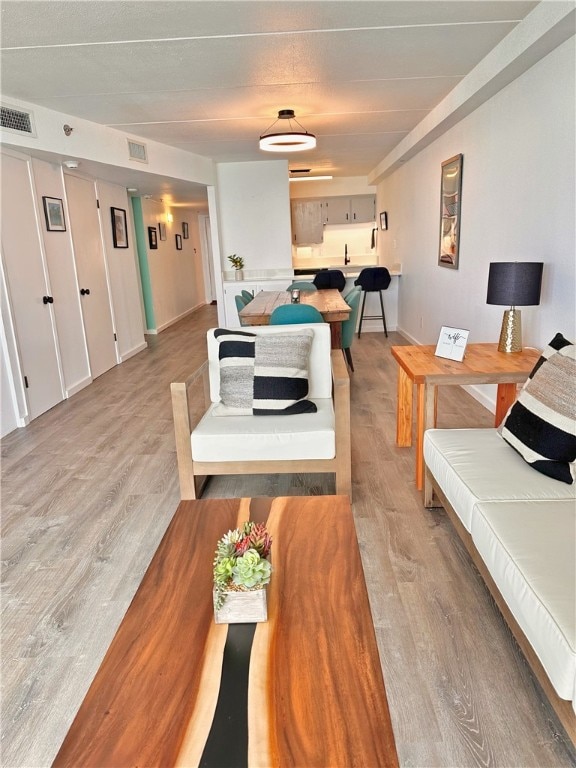 living room with light hardwood / wood-style flooring