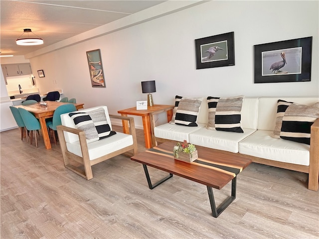 living room with light hardwood / wood-style floors