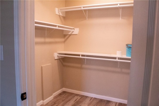 walk in closet with hardwood / wood-style flooring