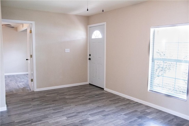 foyer entrance featuring dark hardwood / wood-style flooring