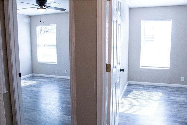 hallway with dark hardwood / wood-style flooring