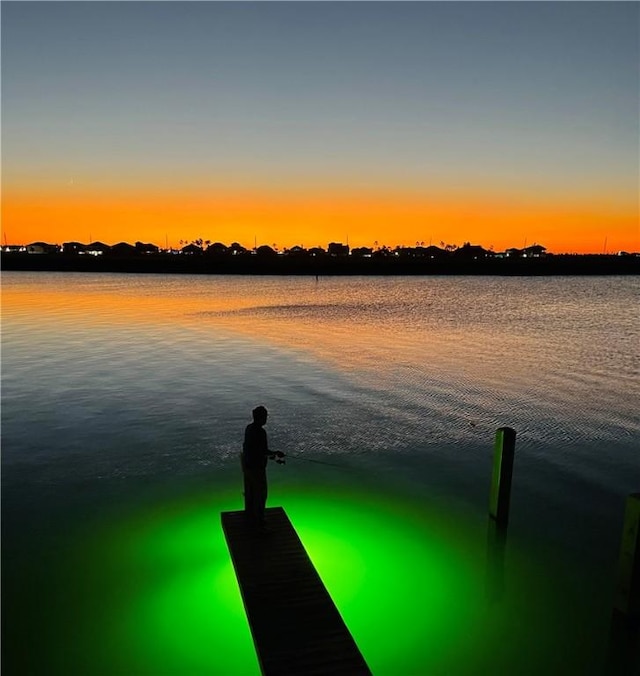 water view featuring a dock