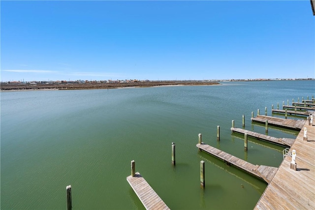 dock area with a water view