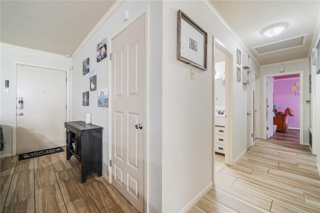 10637 Westwood Dr, Corpus Christi, TX 78410 - hall featuring wood tiled floors and ornamental molding